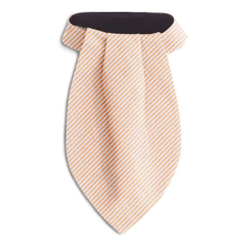 stylish silk wedding necktie options for men-Kiawah Island - Ascots