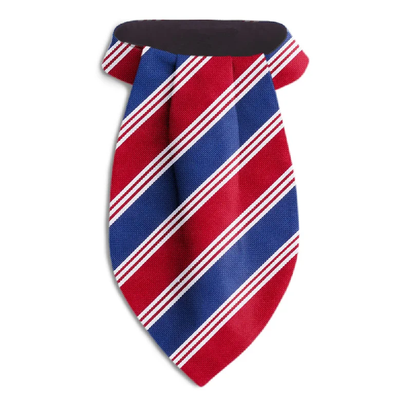 affordable silk necktie designs for business wear-Mackenzie River - Ascots