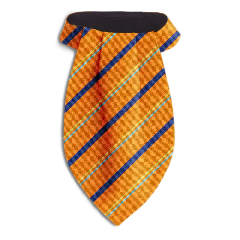 affordable silk necktie options for office wear-River Nore - Ascots