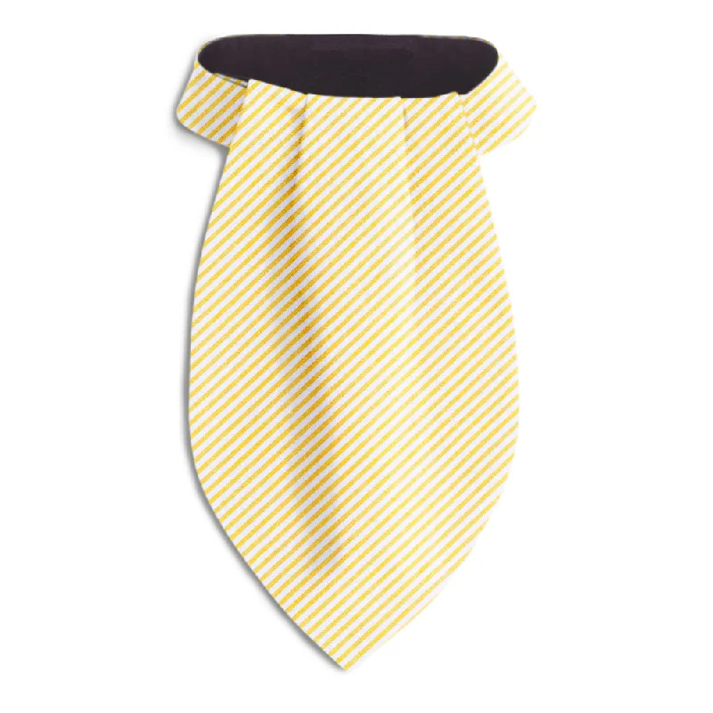 trendy silk necktie sets for office wear-Roanoke Island - Ascots